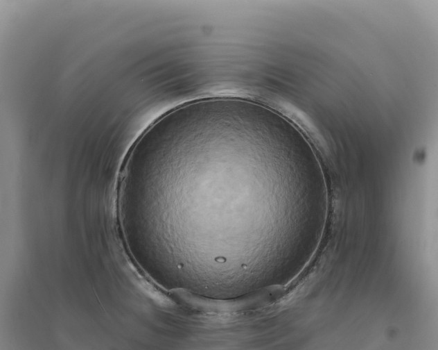X0000094371236200711091530