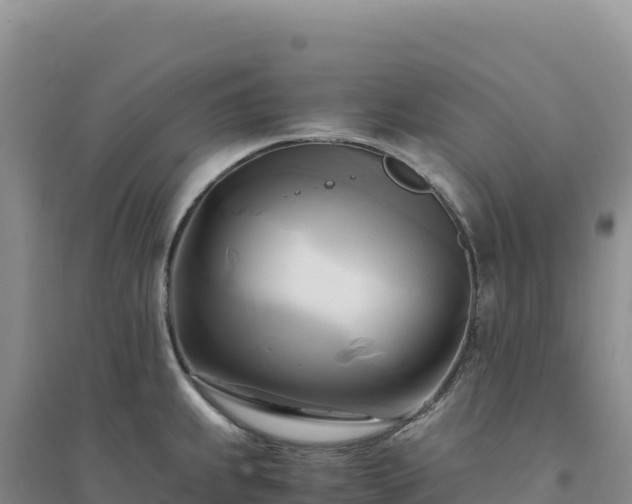 X0000094371239200711091530