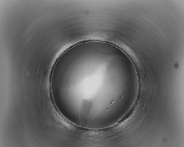 X0000094371240200711091530