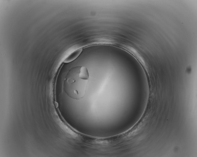 X0000094371243200711091530