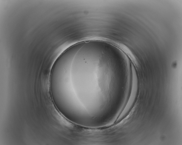 X0000094371244200711091530