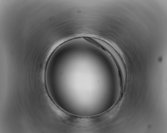 X0000094371246200711091530