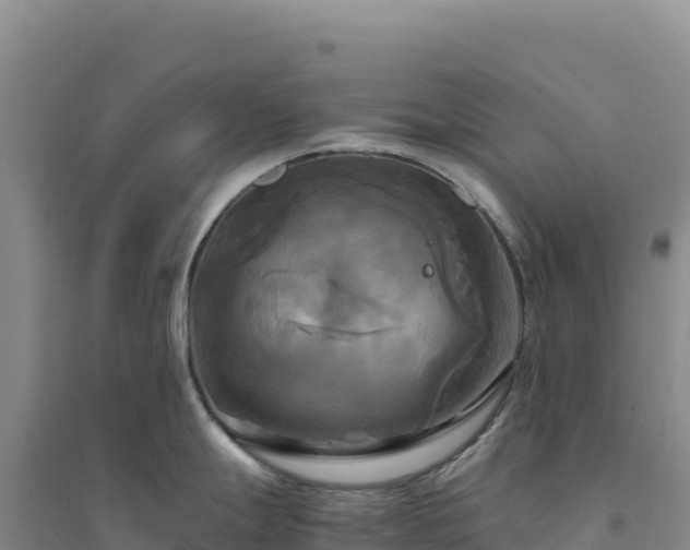 X0000094371247200711091530