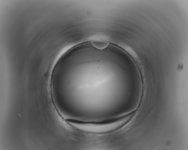 X0000094371248200711091530