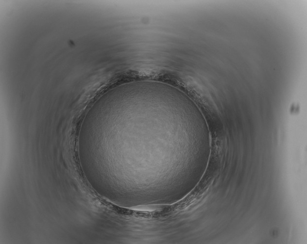 X0000094371249200711091530