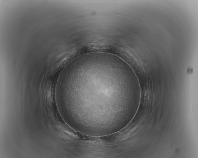 X0000094371250200711091530