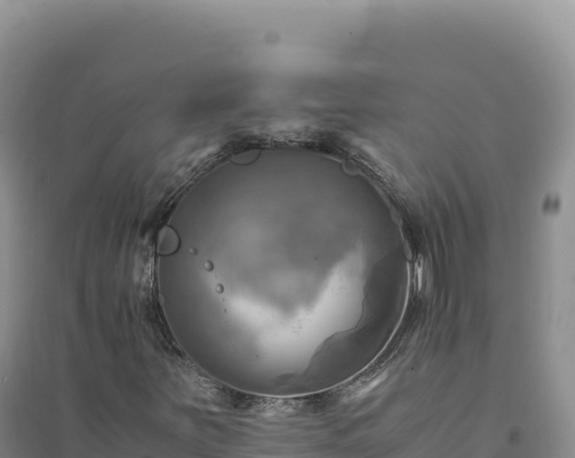 X0000094371251200711091530
