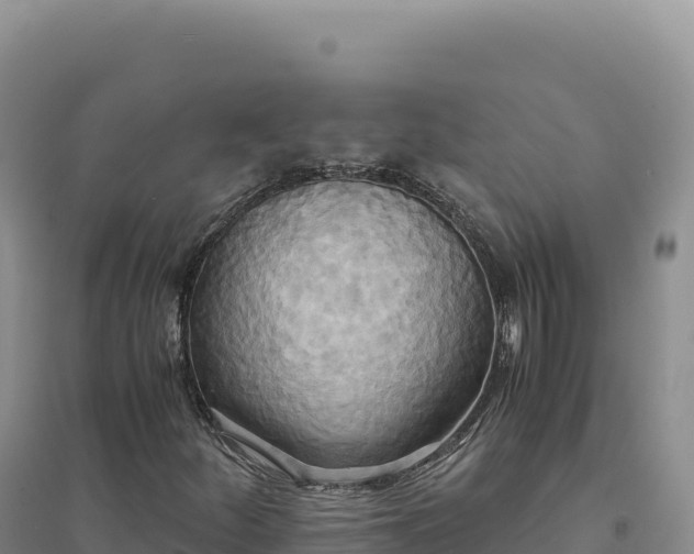 X0000094371252200711091530