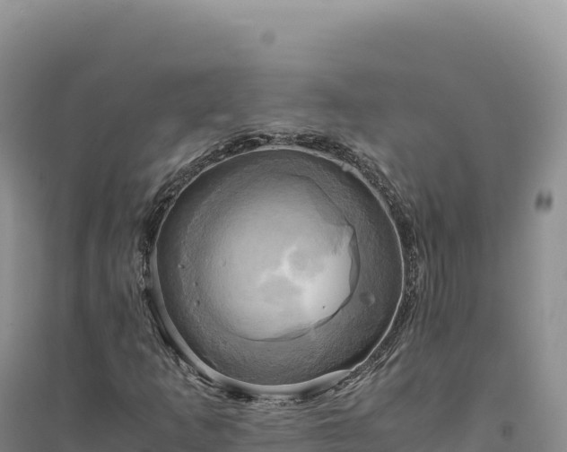 X0000094371253200711091530