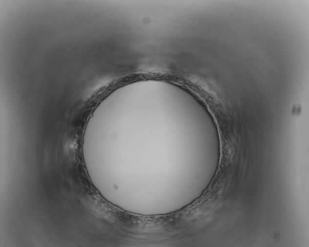 X0000094371254200711091529
