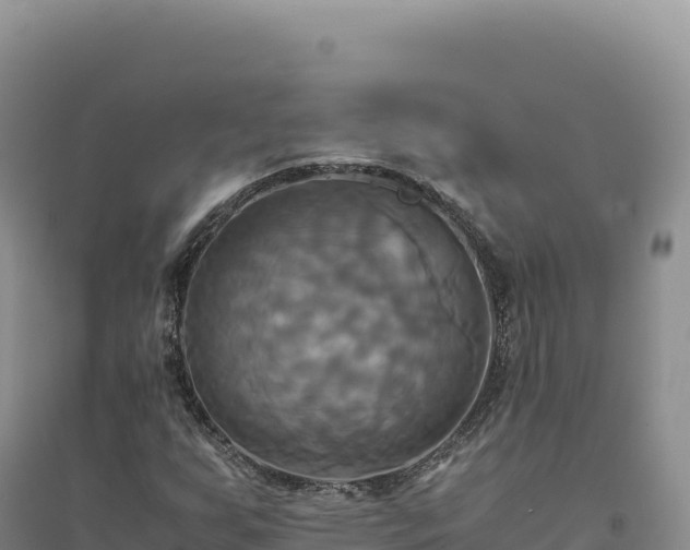 X0000094371255200711091529