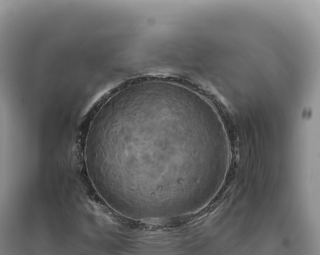 X0000094371256200711091529