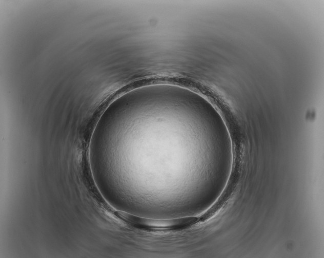 X0000094371257200711091529