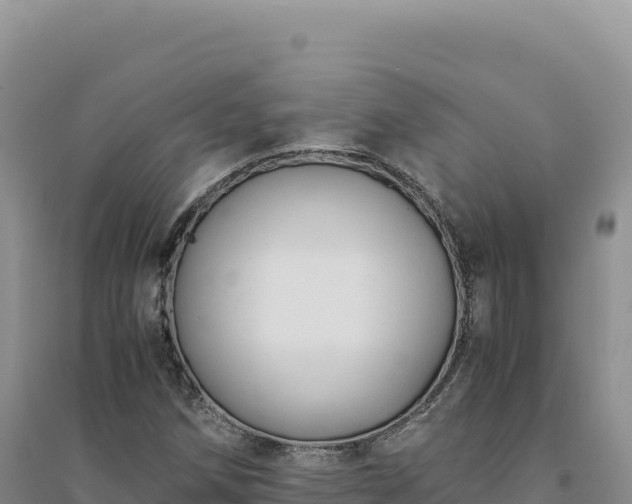 X0000094371258200711091529