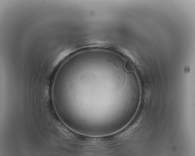 X0000094371259200711091529