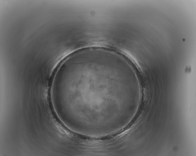 X0000094371260200711091529