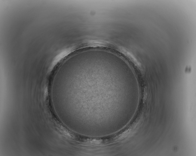 X0000094371261200711091529
