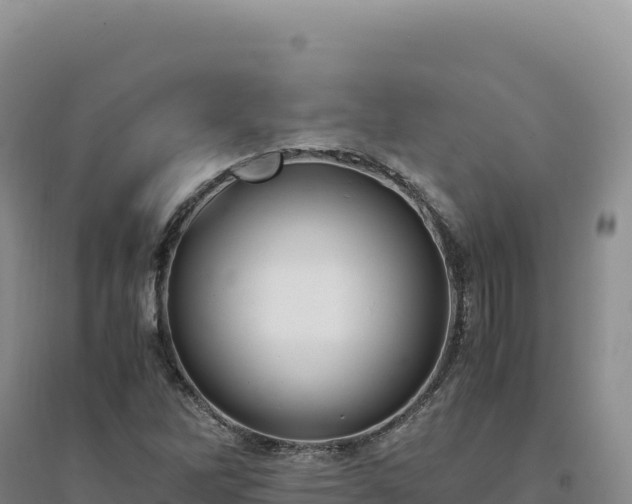 X0000094371262200711091529