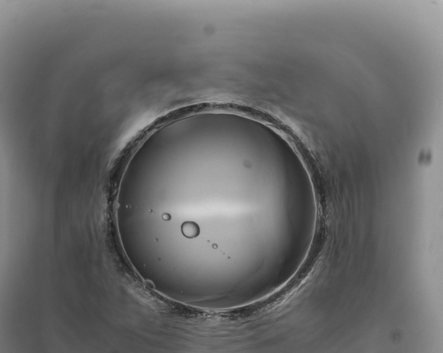 X0000094371263200711091529
