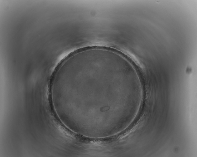 X0000094371264200711091529