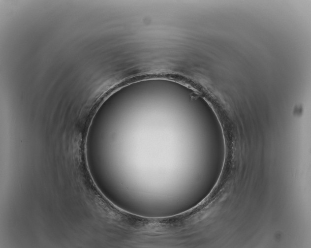 X0000094371265200711091529