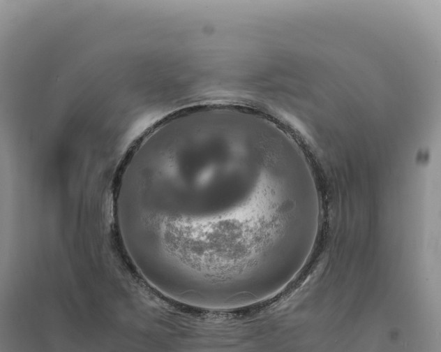 X0000094371267200711091529
