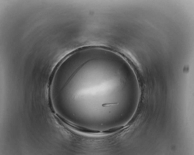 X0000094371268200711091529