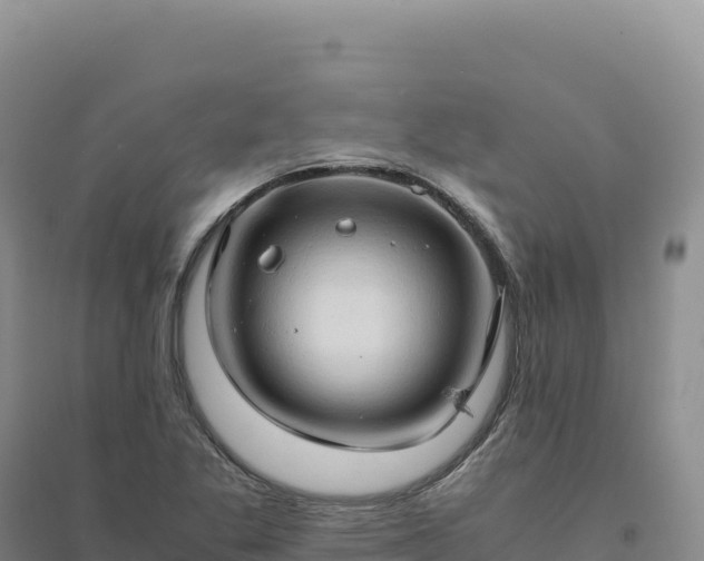 X0000094371269200711091529