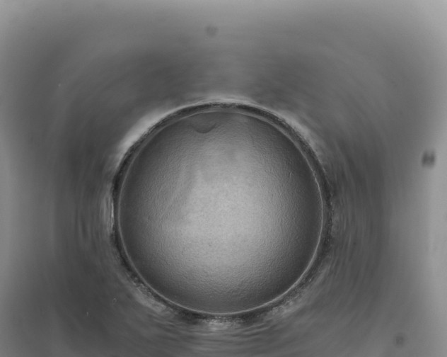 X0000094371271200711091529