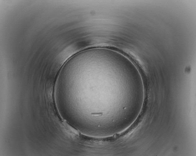 X0000094371273200711091529