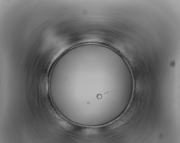 X0000094371274200711091529