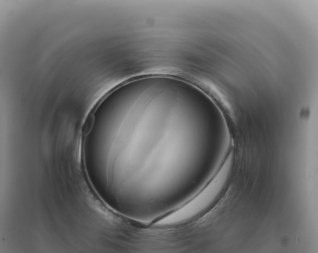 X0000094371276200711091529