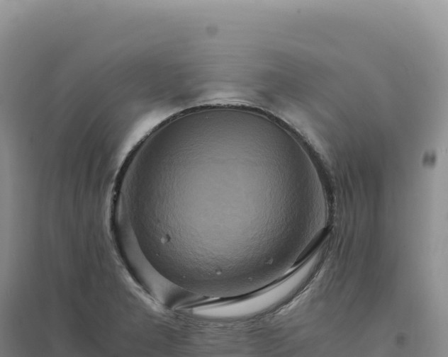 X0000094371277200711091529