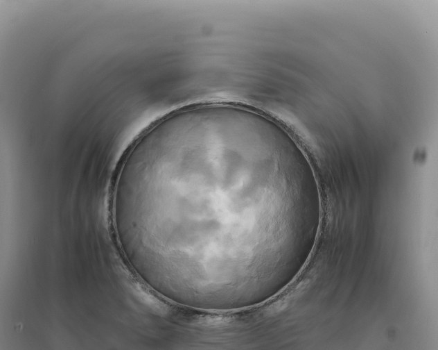 X0000094371278200711091529