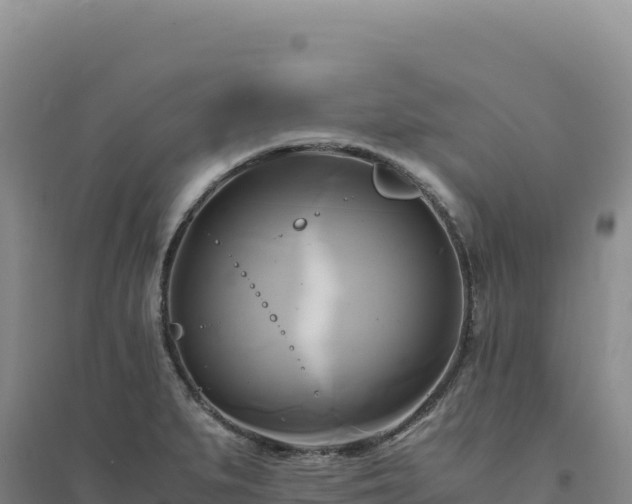 X0000094371279200711091529