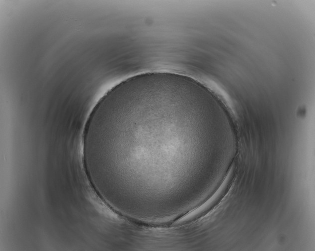 X0000094371280200711091529