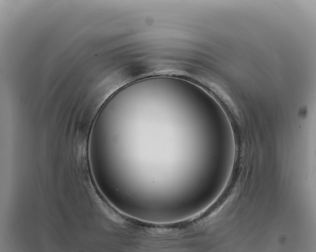 X0000094371281200711091529