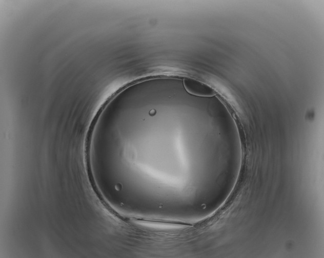 X0000094371283200711091529