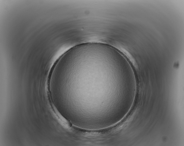 X0000094371285200711091529