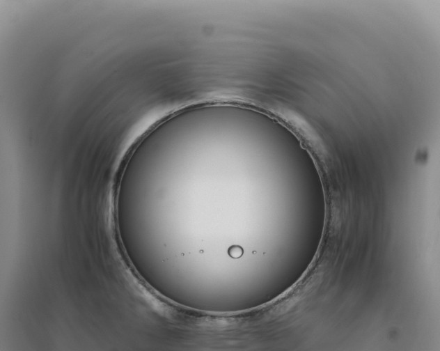 X0000094371286200711091529