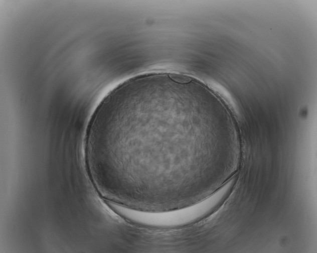 X0000094371288200711091529