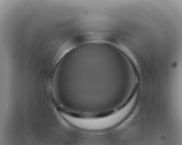 X0000094371289200711091529