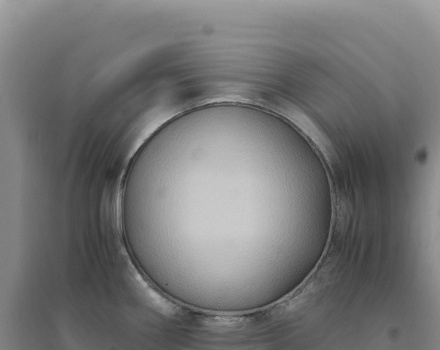 X0000094371290200711091529