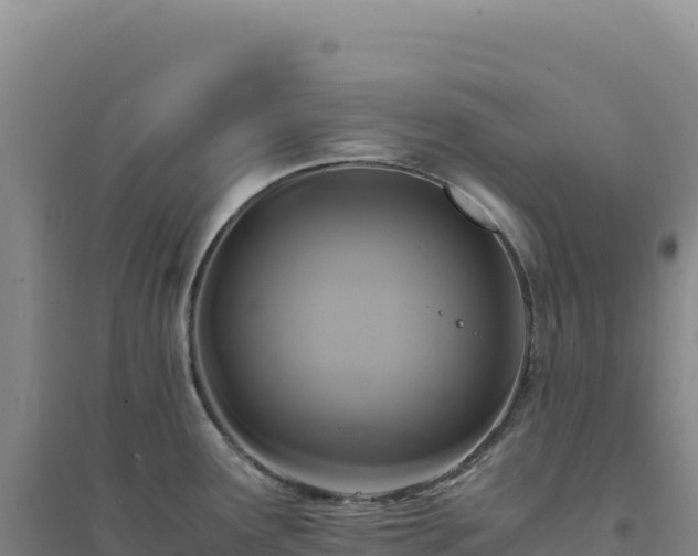 X0000094371291200711091529