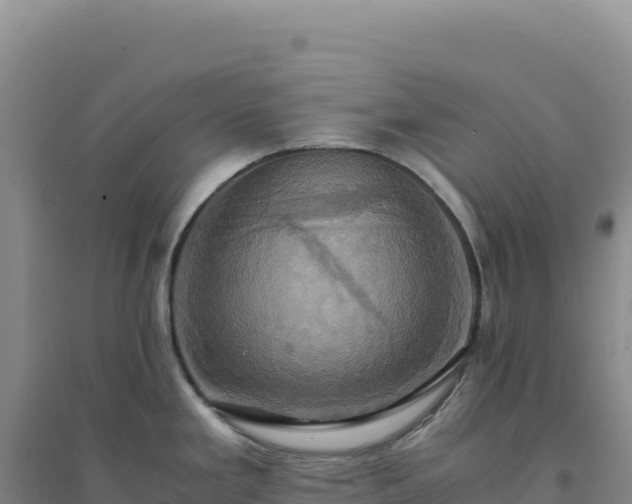 X0000094371293200711091529