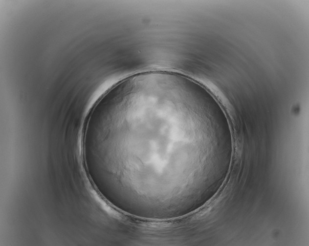 X0000094371294200711091529