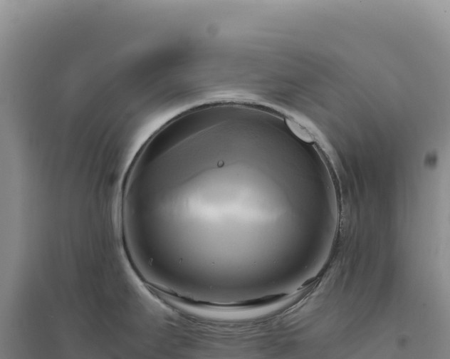 X0000094371295200711091529