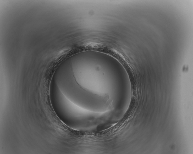 X0000094371297200711091528