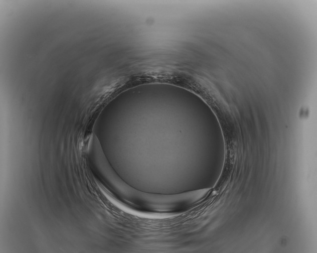 X0000094371298200711091528