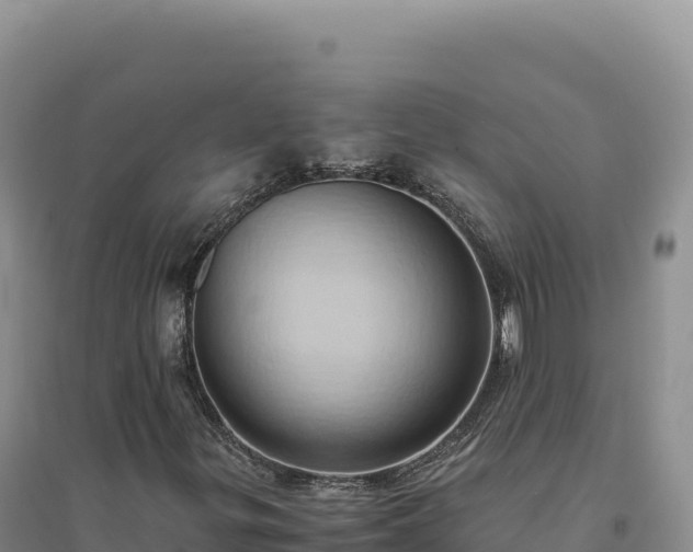 X0000094371299200711091528